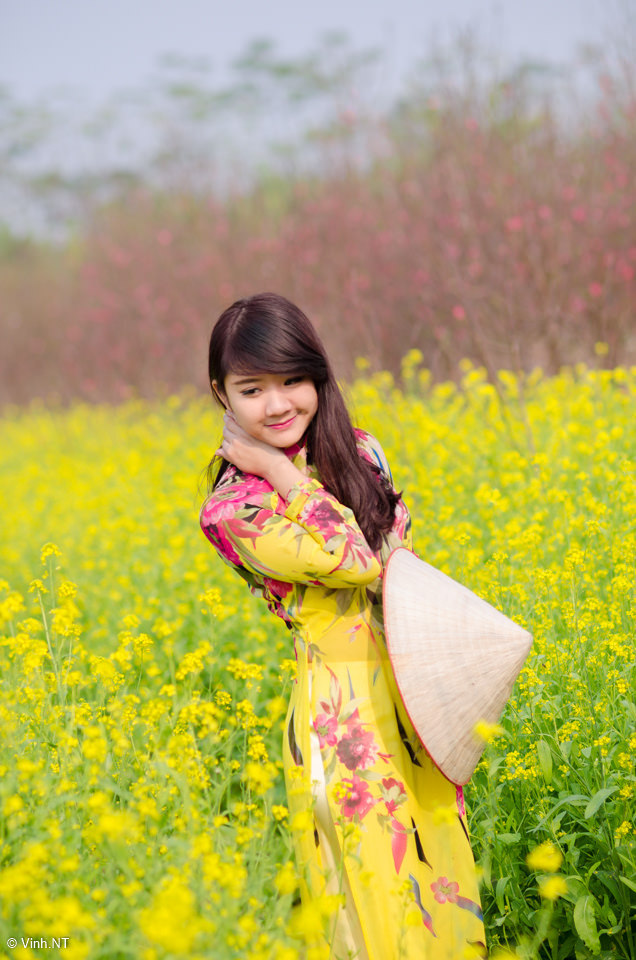 芭蕾复仇曲